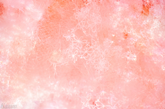 MELTY～
