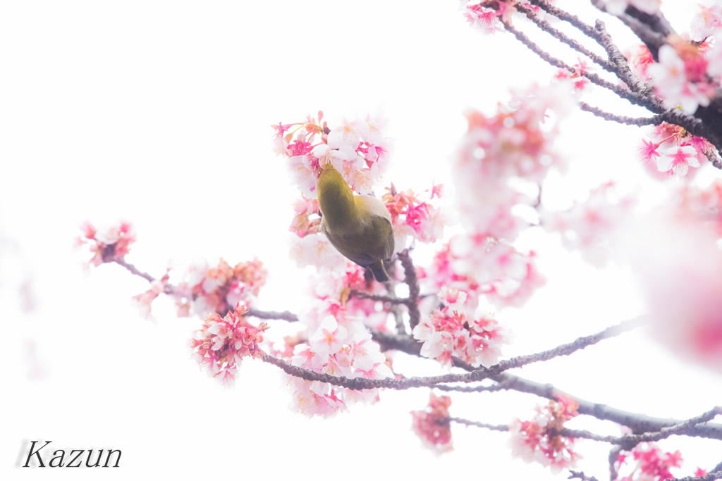 背中一大事