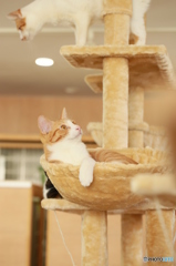 気になるものがある・・・・