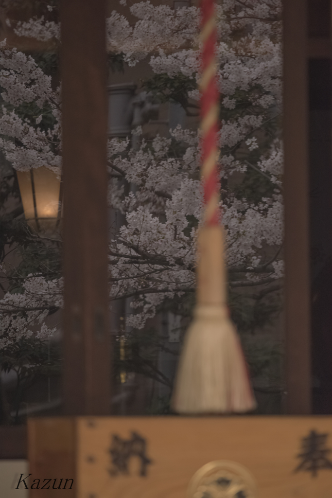 拝観後に見えた