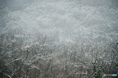 吹雪く、山の時間