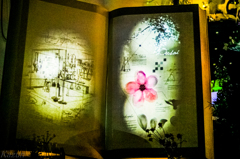 THE BOOK!