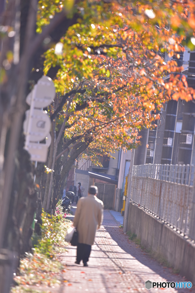 秋の・・・・・