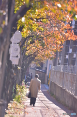 秋の・・・・・