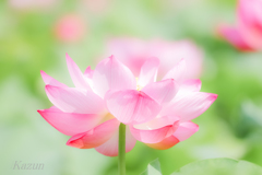 生命