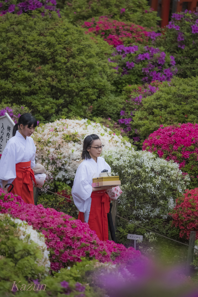 根津神社の巫女さん