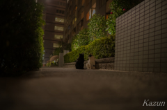 二人の時間！