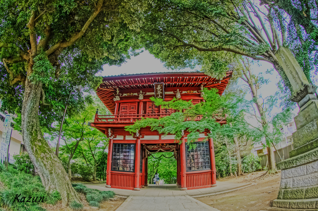 本土寺(*゜∀゜)