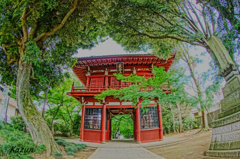 本土寺(*゜∀゜)
