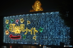 紅葉見ナイト
