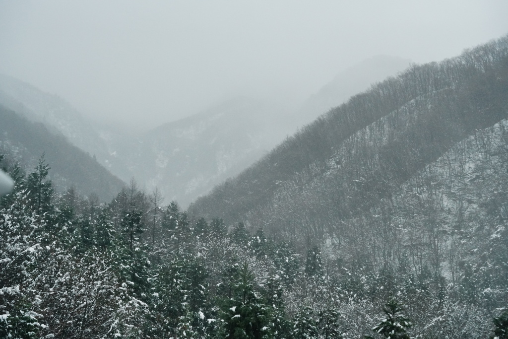 山々の靄に想う事
