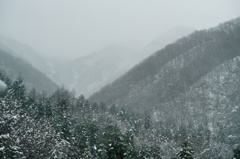 山々の靄に想う事