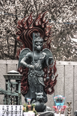 高尾山火渡りの　神