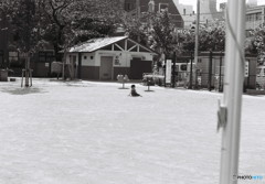 FILM