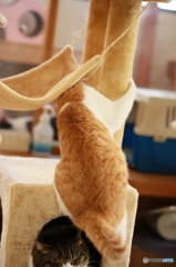 ワシッ！！