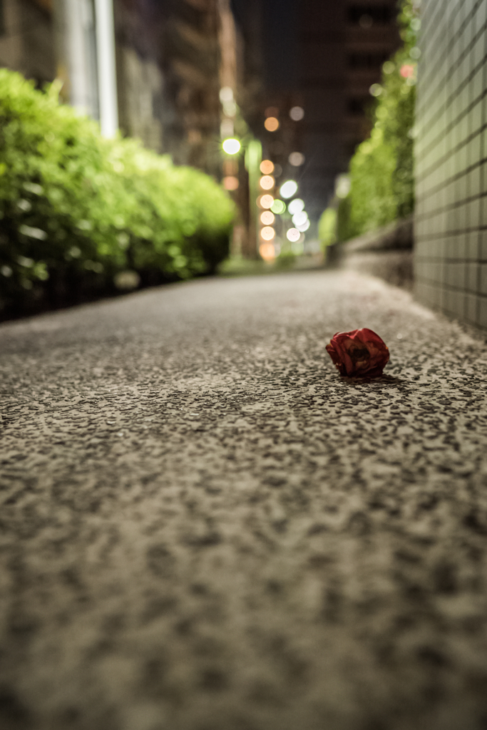 落ちてもなお
