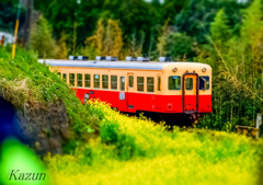 菜の花電車(*゜ω゜)