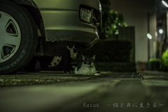 きりりっ(*゜∀゜)