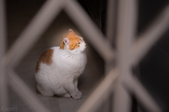 祝福
