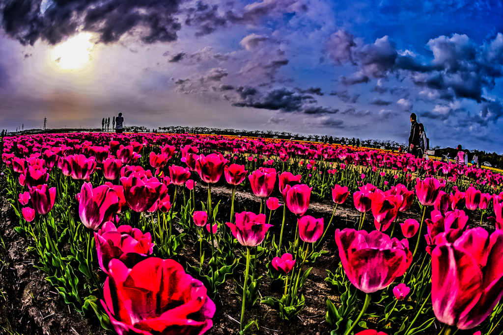 Photographer!