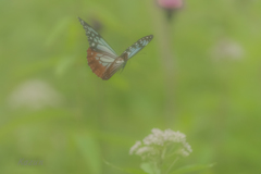 幻想と霧の夢物語。