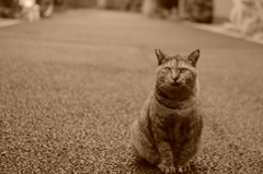 馳せる