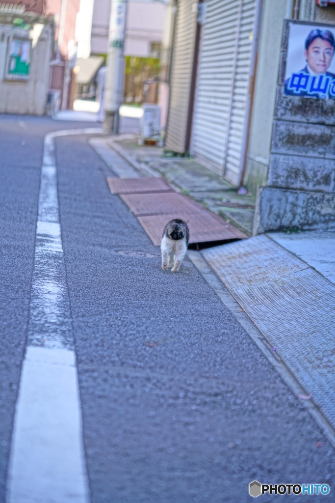 哀愁
