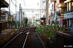 電車が入りマース！！