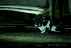 ビクッ！！！