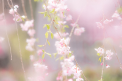君の、横顔・・・