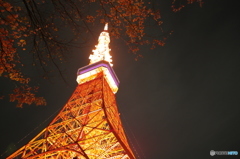 冬
