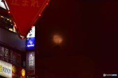 月夜