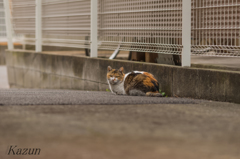 こちらも振り向き