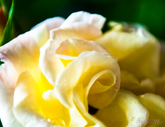 トルネード・・・・・