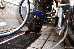 友達！(*ﾟ▽ﾟ)