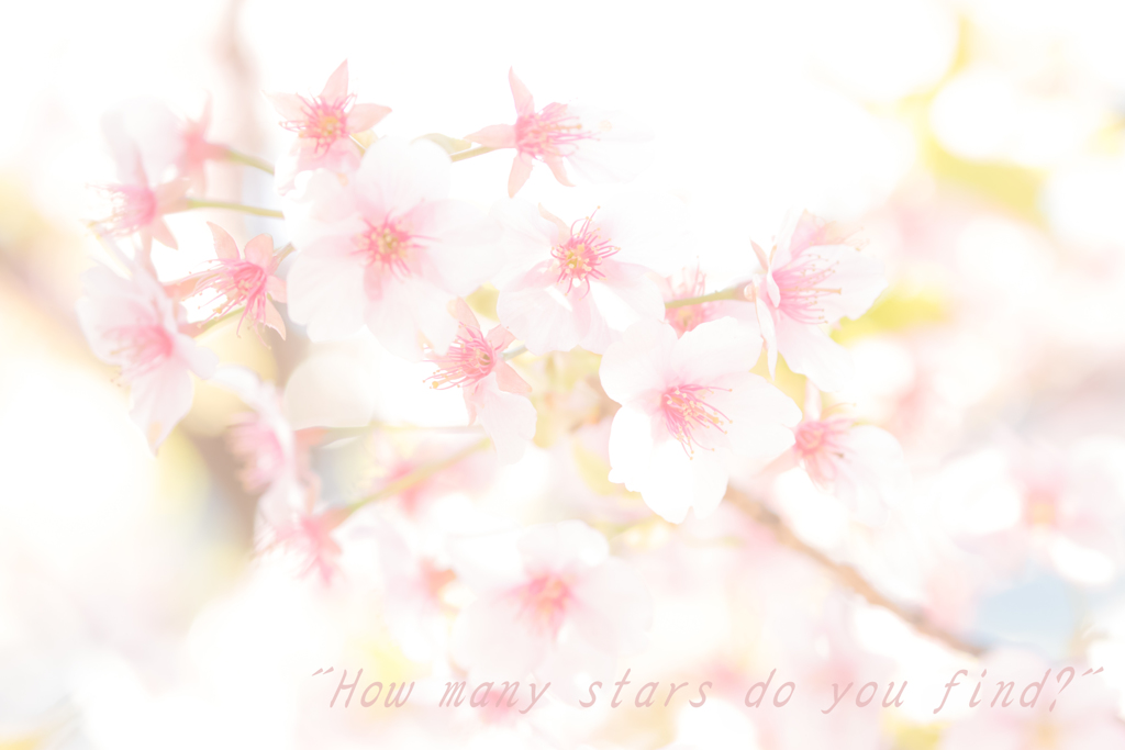 Romantic pink stars!