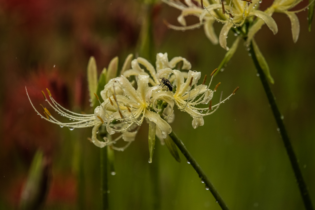 rainy day!