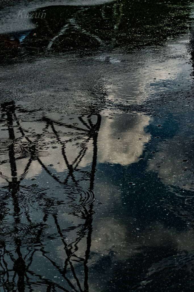 雨に写り込む・・・・・