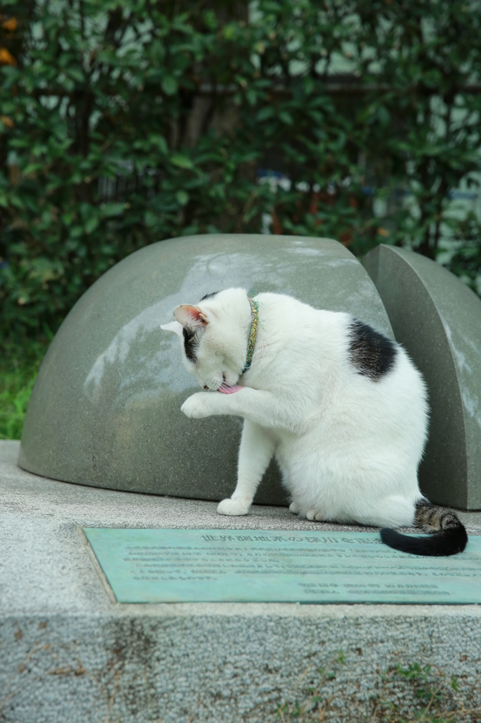 ベーロビロ