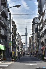 昼のツリーーン
