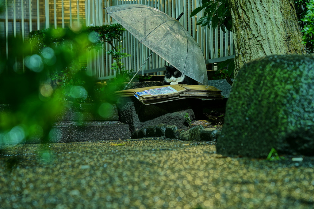 優しさ・・・・