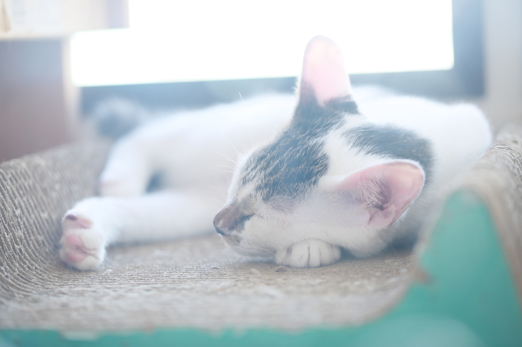 優しい光、、、、、、