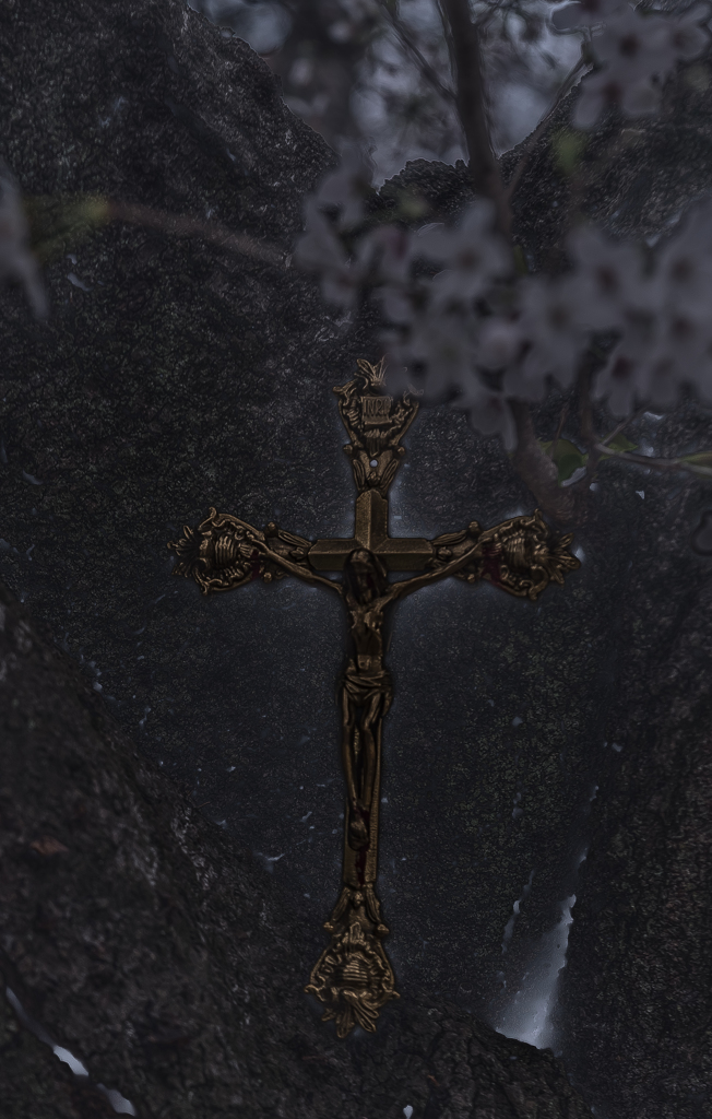 JESUS!!
