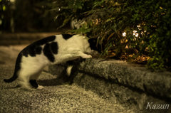 ガサゴソ