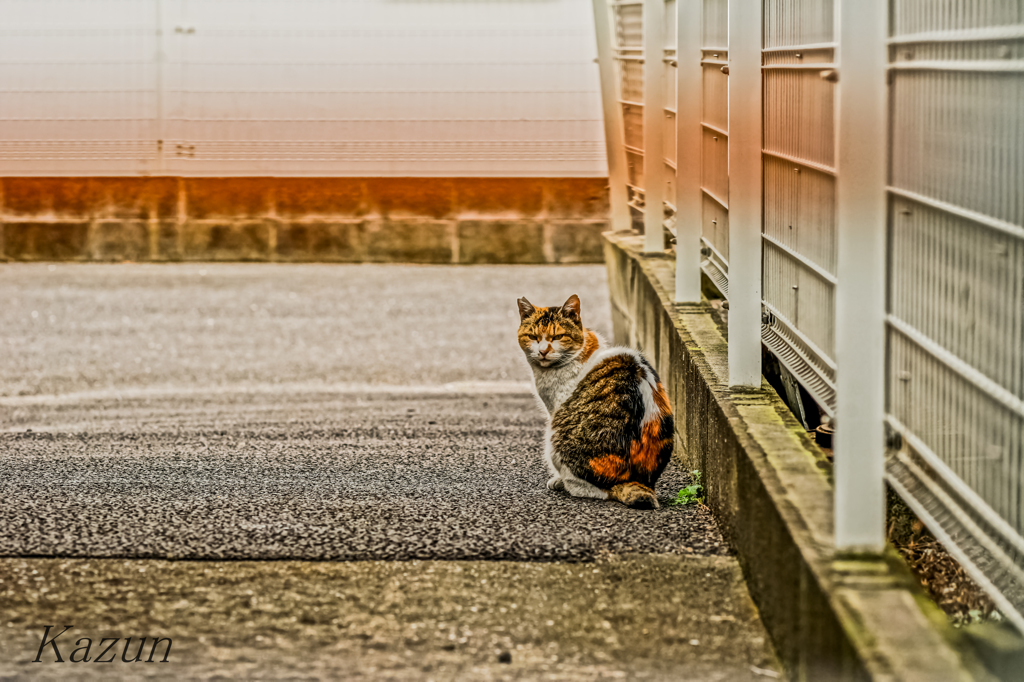 アップし忘れ？？　振り向き様をキャッチ！