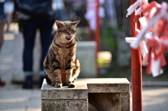 ペローーン