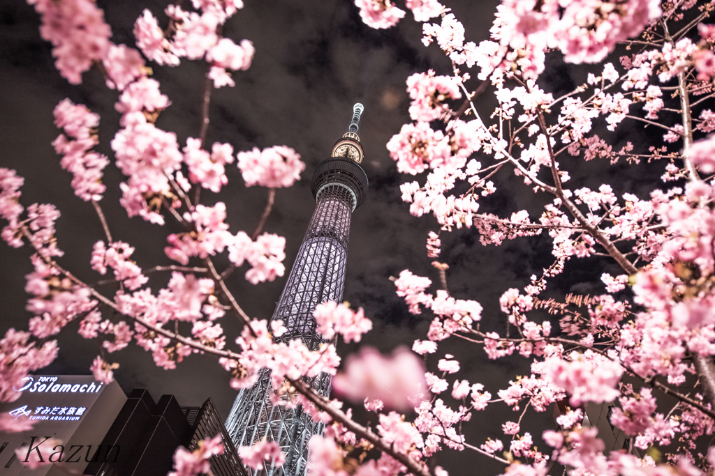 ソラマチ(*ﾟ▽ﾟ)