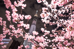 ソラマチ(*ﾟ▽ﾟ)