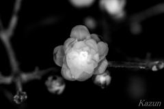 -LOST COLOR!-　(*゜∀゜)