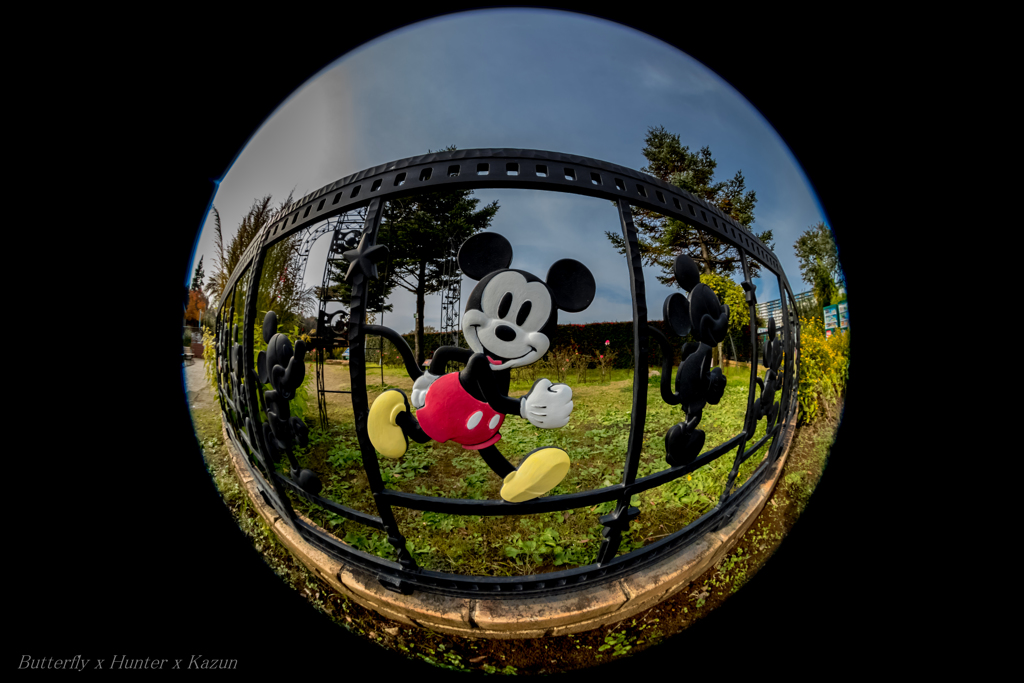 Mickey!!